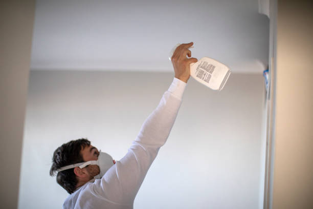 Best HVAC Mold Remediation in Elm City, NC
