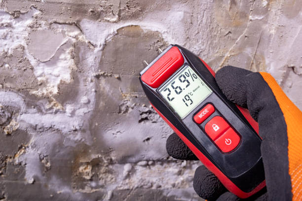 Best Health and Safety Mold Remediation in Elm City, NC